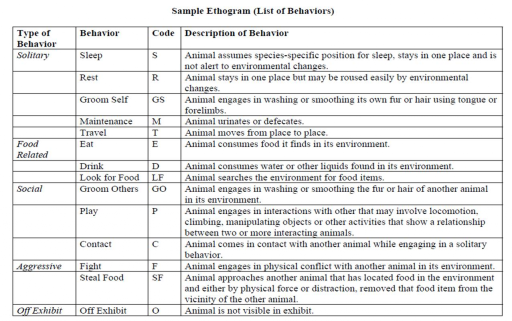 Ethogram Example (List of Behaviors)